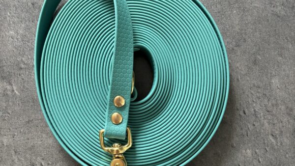 24-06-26 10-17-36 0543 Longe