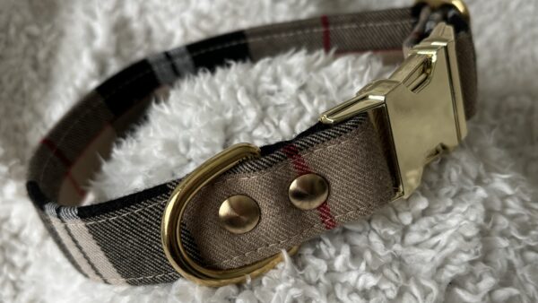 24-03-09 12-37-23 0030 Collier DogBerry